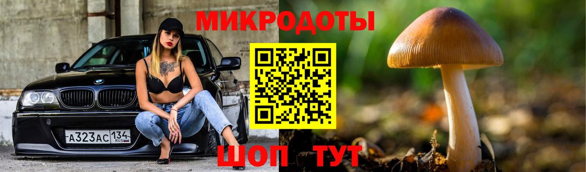 Тимашёвск  Галлюциногенные грибы Psilocybine cubensis  Галлюциногенные грибы Psilocybine cubensis  Вход с VPN 